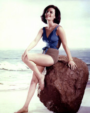 NATALIE WOOD LEGGY SWIMSUIT PIN UP PRINTS AND POSTERS 275986
