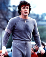 SYLVESTER STALLONE ROCKY JOGGING PRINTS AND POSTERS 275931