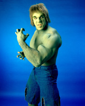 LOU FERRIGNO THE INCREDIBLE HULK PRINTS AND POSTERS 275747
