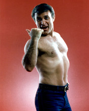 ROBERT CONRAD HUNKY BARECHESTED PRINTS AND POSTERS 275719
