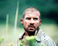 DOMINIC PURCELL PRISON BREAK TV STAR PRINTS AND POSTERS 275647