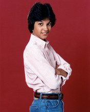 RALPH MACCHIO 1980'S PIN UP PRINTS AND POSTERS 275632