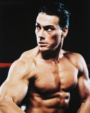 JEAN-CLAUDE VAN DAMME IN HUNKY PRINTS AND POSTERS 27502