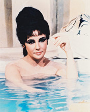 ELIZABETH TAYLOR PRINTS AND POSTERS 27494
