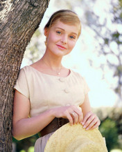 CAROL LYNLEY PRINTS AND POSTERS 274910