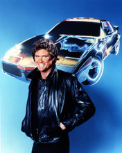 DAVID HASSELHOFF PRINTS AND POSTERS 274593