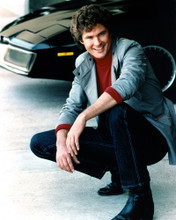 DAVID HASSELHOFF PRINTS AND POSTERS 274592