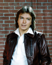 DAVID CASSIDY PRINTS AND POSTERS 274555