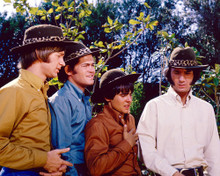 THE MONKEES TV DAVY JONES PRINTS AND POSTERS 274431