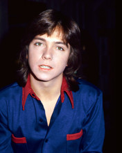 DAVID CASSIDY PRINTS AND POSTERS 274336