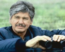 CHARLES BRONSON PRINTS AND POSTERS 274312