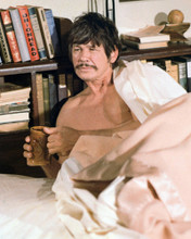 CHARLES BRONSON PRINTS AND POSTERS 274310