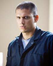 WENTWORTH MILLER PRISON BREAK PRINTS AND POSTERS 274078