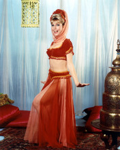 BARBARA EDEN PRINTS AND POSTERS 274005