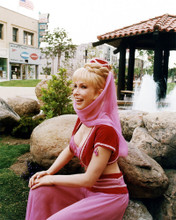 BARBARA EDEN PRINTS AND POSTERS 274003