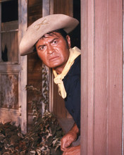 F TROOP LARRY STORCH PRINTS AND POSTERS 273368