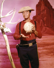 F TROOP PRINTS AND POSTERS 273356