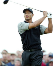 TIGER WOODS GOLF STAR PRINTS AND POSTERS 272824