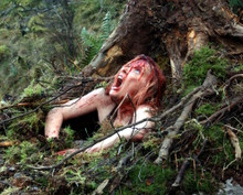 SHAUNA MACDONALD THE DESCENT PRINTS AND POSTERS 272731