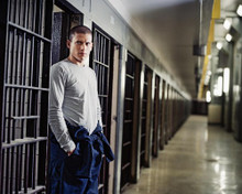 PRISON BREAK WENTWORTH MILLER BY BARS PRINTS AND POSTERS 272095