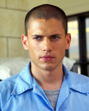 PRISON BREAK WENTWORTH MILLER PRINTS AND POSTERS 272092