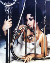 ELIZABETH TAYLOR PRINTS AND POSTERS 271817