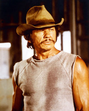 CHARLES BRONSON BREAKOUT IN VEST PRINTS AND POSTERS 271462