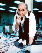 LOU GRANT EDWARD ASNER PRINTS AND POSTERS 271401
