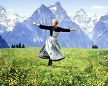 THE SOUND OF MUSIC JULIE ANDREWS PRINTS AND POSTERS 271395