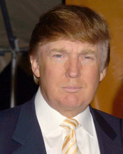DONALD TRUMP PRINTS AND POSTERS 271350