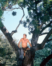 RON ELY TARZAN IN LOINCLOTH PRINTS AND POSTERS 270951