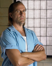 PRISON BREAK PETER STORMARE PRINTS AND POSTERS 270603
