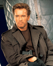 ARNOLD SCHWARZENEGGER PRINTS AND POSTERS 269850