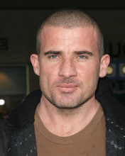 DOMINIC PURCELL PRISON BREAK STAR PRINTS AND POSTERS 269831
