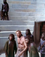 PLANET OF THE APES PRINTS AND POSTERS 269823