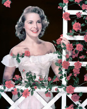 JANET LEIGH PRINTS AND POSTERS 269739