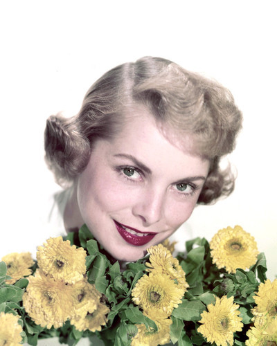 Janet Leigh Posters and Photos 281043