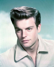 ROBERT WAGNER PRINTS AND POSTERS 269381