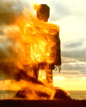 THE WICKER MAN CLASSIC BURNING PRINTS AND POSTERS 269351