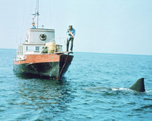 JAWS ROBERT SHAW SHARK PRINTS AND POSTERS 269124
