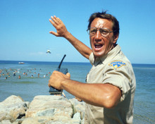 JAWS ROY SCHEIDER PRINTS AND POSTERS 269121