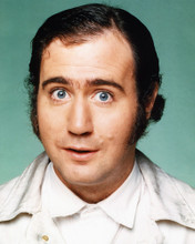 TAXI ANDY KAUFMAN AS LATKA PRINTS AND POSTERS 267536