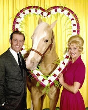 MR.ED RARE CAST ALAN YOUNG PRINTS AND POSTERS 267455
