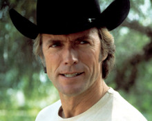 CLINT EASTWOOD PRINTS AND POSTERS 267326