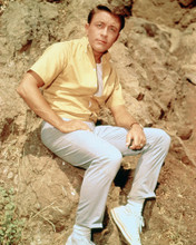 BILL BIXBY PRINTS AND POSTERS 267238