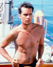 BILLY ZANE HUNKY BARECHESTED PIN UP PRINTS AND POSTERS 267191