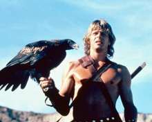 MARC SINGER HOLDING HAWK THE BEASTMASTER PRINTS AND POSTERS 267111