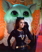 JULIE NEWMAR PRINTS AND POSTERS 267035