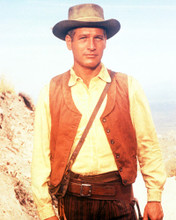 PAUL NEWMAN PRINTS AND POSTERS 267033