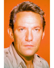 PETER FINCH PRINTS AND POSTERS 266923
